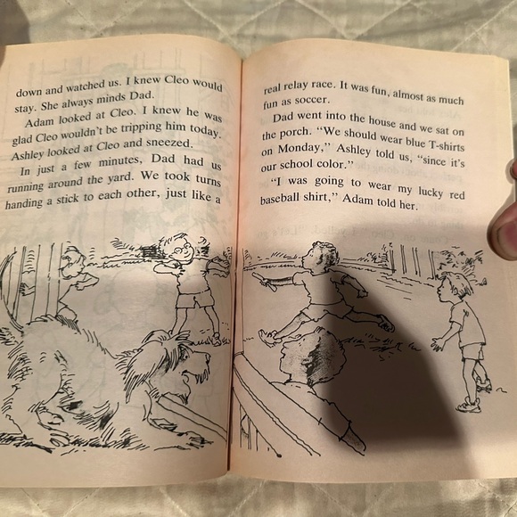 Triplet trouble and the field day disaster - Picture 6 of 7